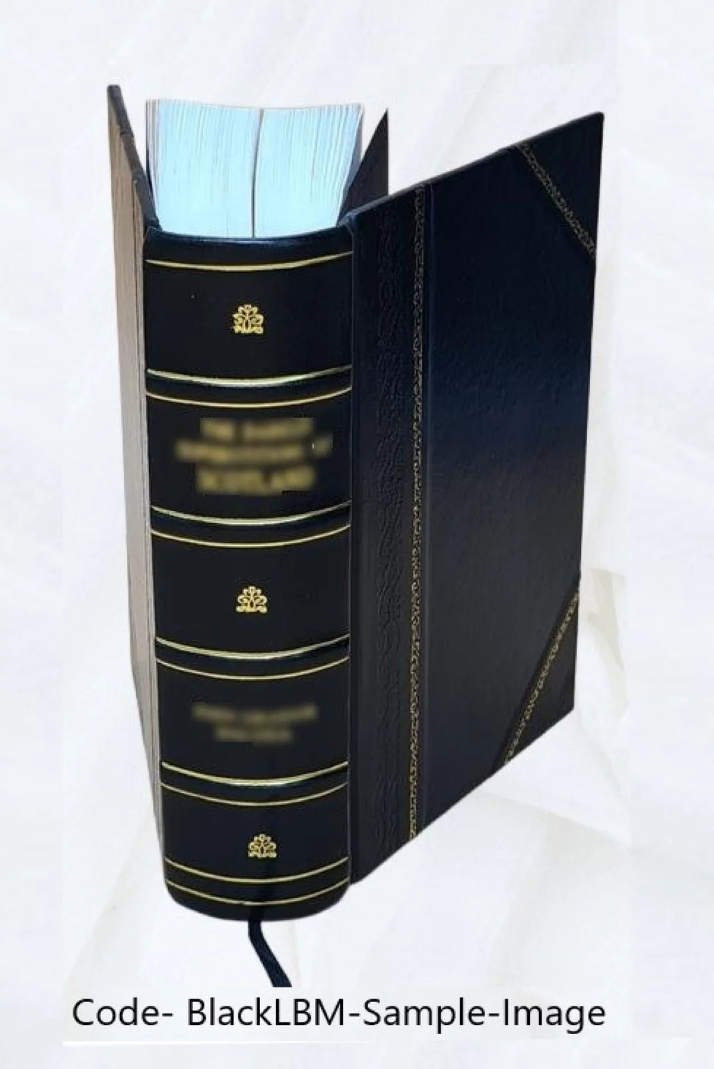Boletín oficial de marcas y patentes / Secretaría de Agricultura, Comercio y Trabajo. Volume 1924 1924 [Leather Bound]