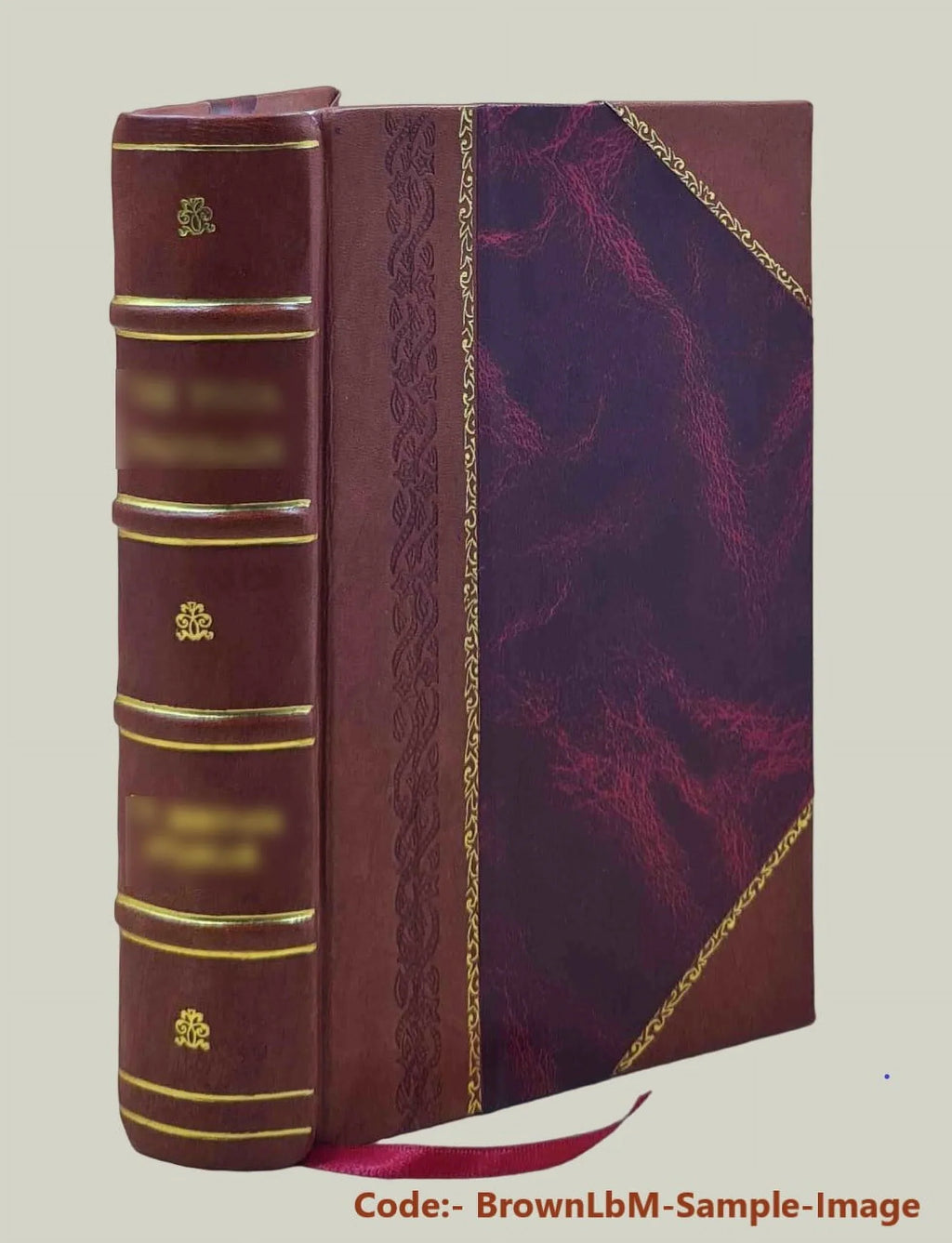 Gold rush : the journals, drawings, and other papers of J. Goldsborough Bruff, captain, Washington City and California Mining Association, April 2, 1849-July 20, 18 [Leather Bound]