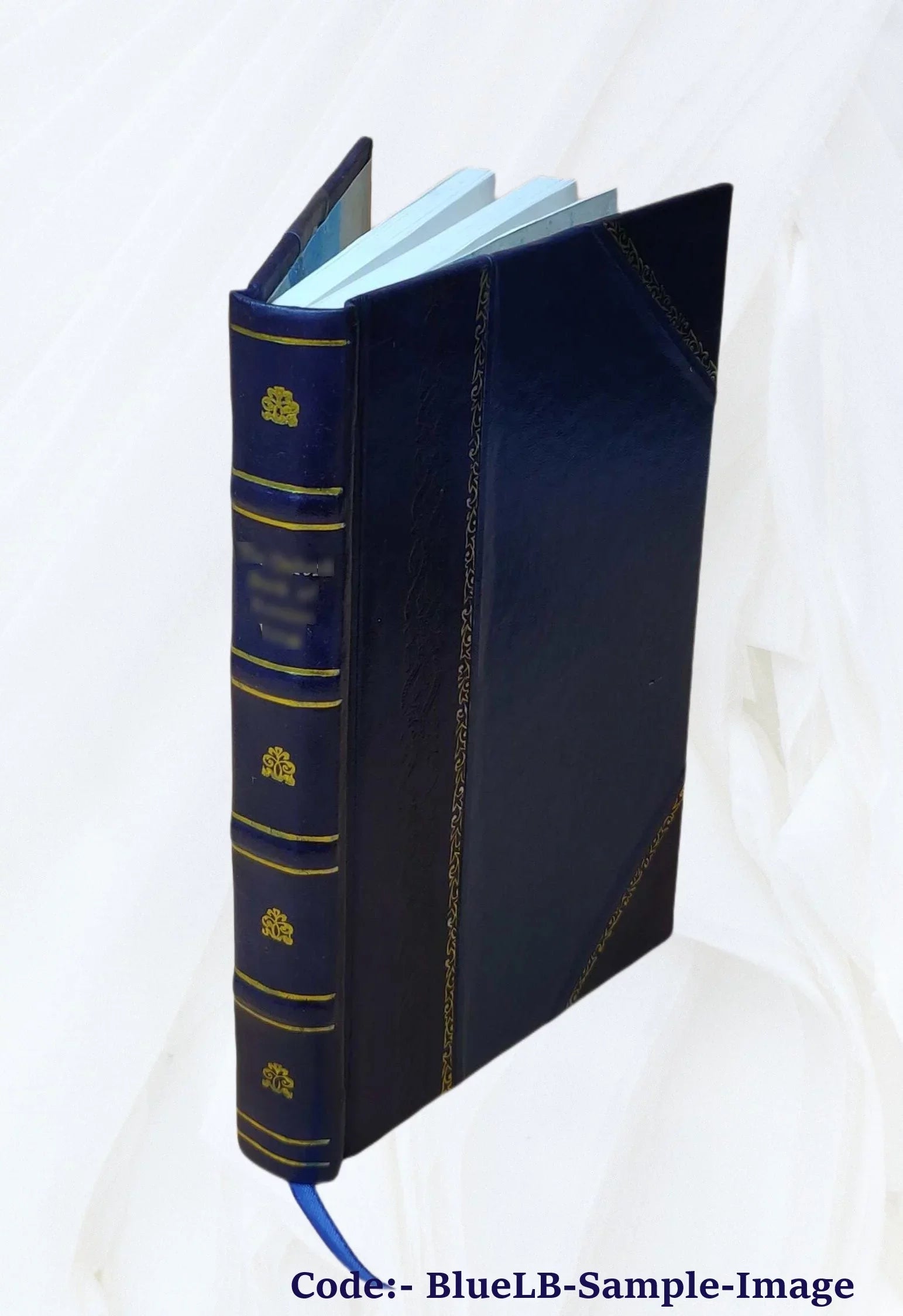 Letters concerning the constitution and order of the Christian ministry: addressed to the members of the Presbyterian churches in the city of New York. To which is prefixed, a letter on the present as