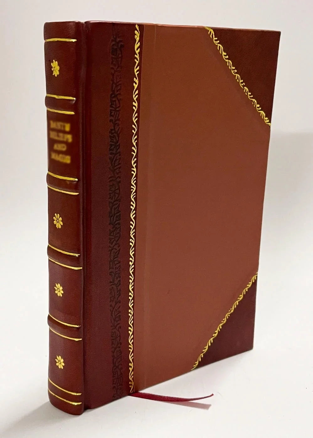 Corporis Humani Anatomia, in Qua Omnia Tam Veterum, Quam Recentiorum Anatomicorum Inventa Methodo Nova, & Intellectu Facillima Describuntur, Ac Tabulis Neis Reprsentantur. (1706) [Leather Bound]