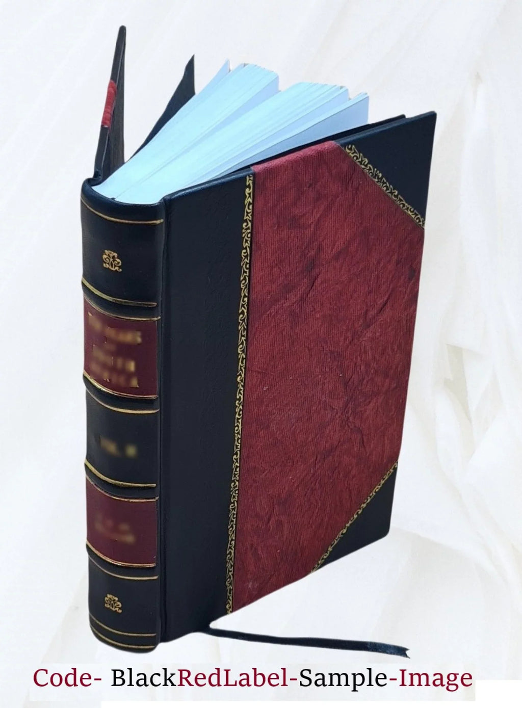 Prolegomeni clinici per servire d'introduzione teoretica allo studio pratico della medicina del cavaliere Val. Luigi Brera 1838 [Leather Bound]