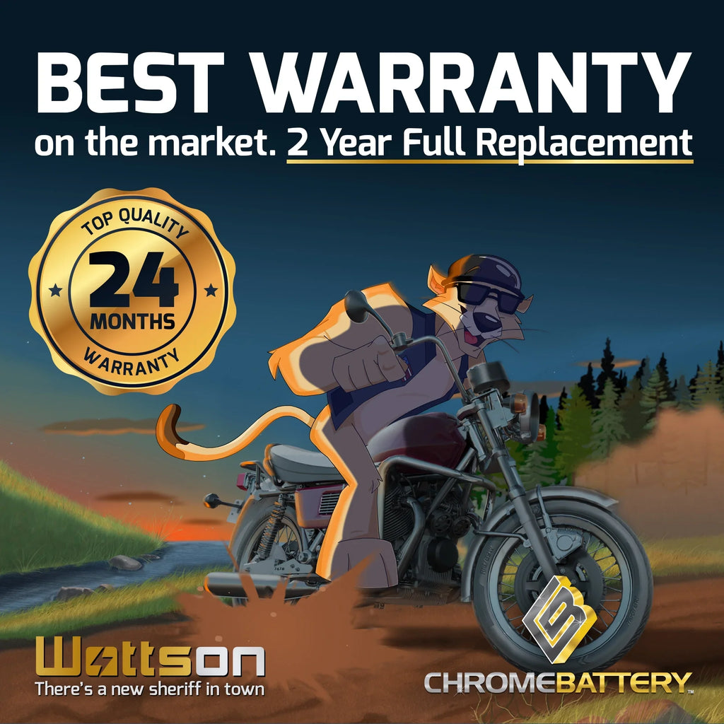 Chrome Battery Ytx20ch-bs (20ch-bs 12 Volts,18 Ah, 270 Cca) Motorcycle Battery for Kawasaki 1600cc Vn1600-b Vulcan Mean Streak 2004