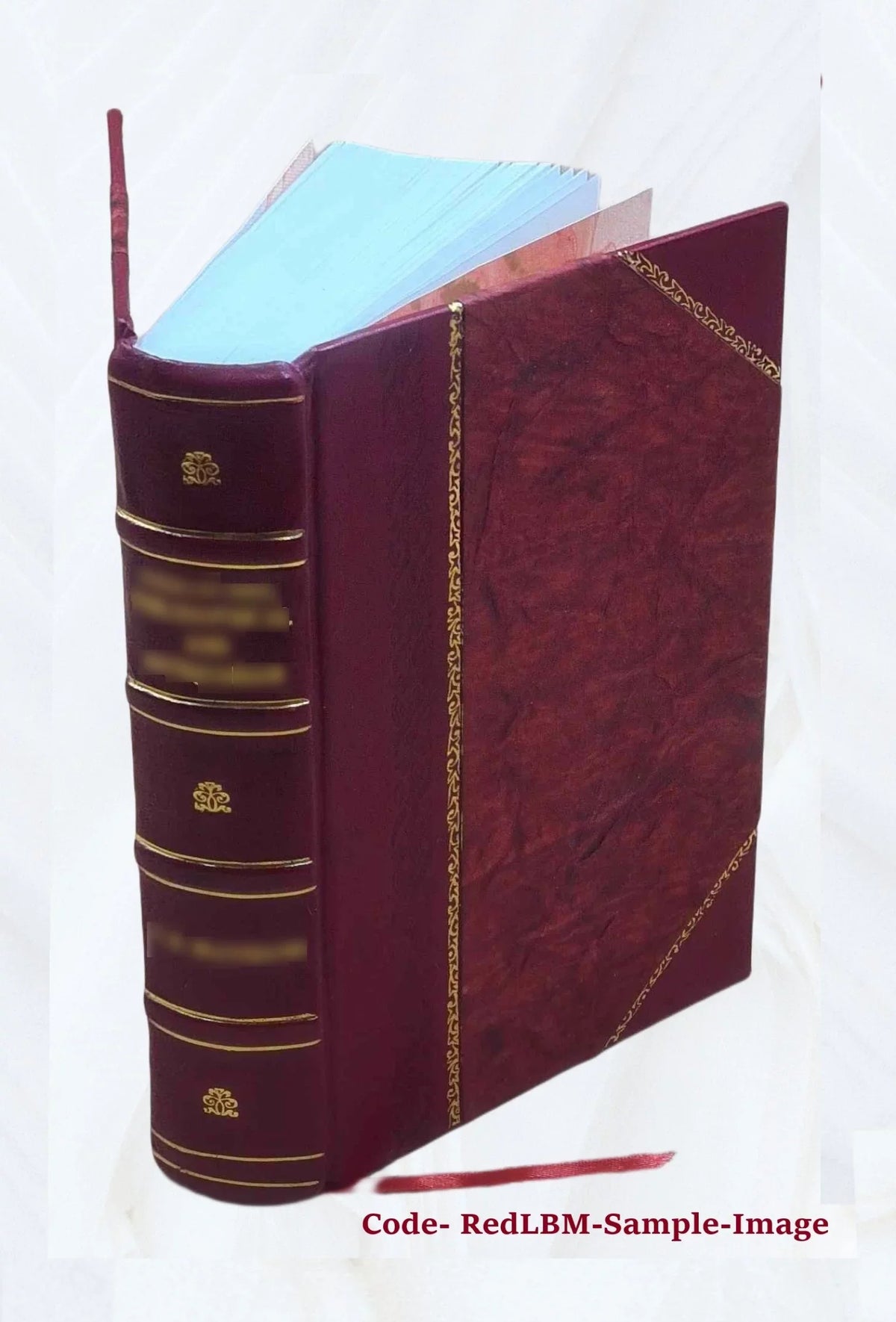 Dictionnaire turc-franÃais a l'usage des agents diplomatiques et ... Volume 1 1835 [Leather Bound]