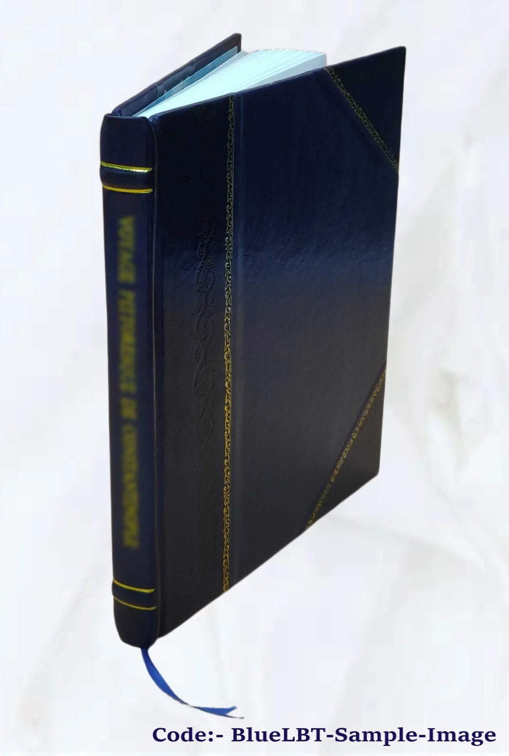 Sacra rappresentazione di San Lorenzo / di F. Giouann' Agnolo Lottini, dell'Ordine de Serui. 1592 [Leather Bound]